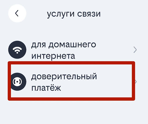 Доверительный платеж